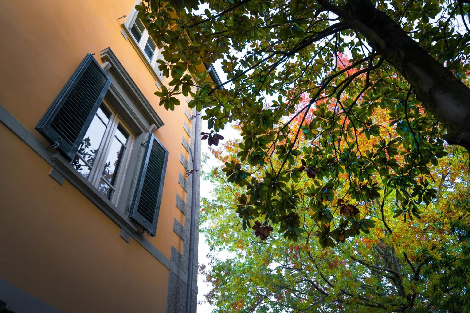 Villa Ines Charme Near Lucca 알토파시오 외부 사진